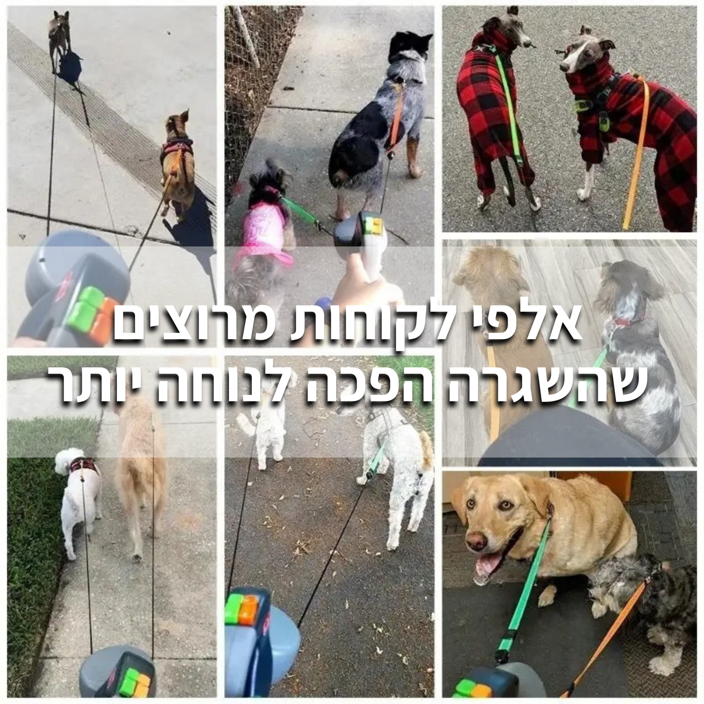 רצועה כפולה מסתובבת 360°