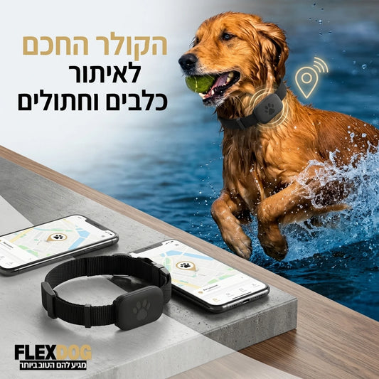 הקולר החכם לאיתור כלבים וחתולים