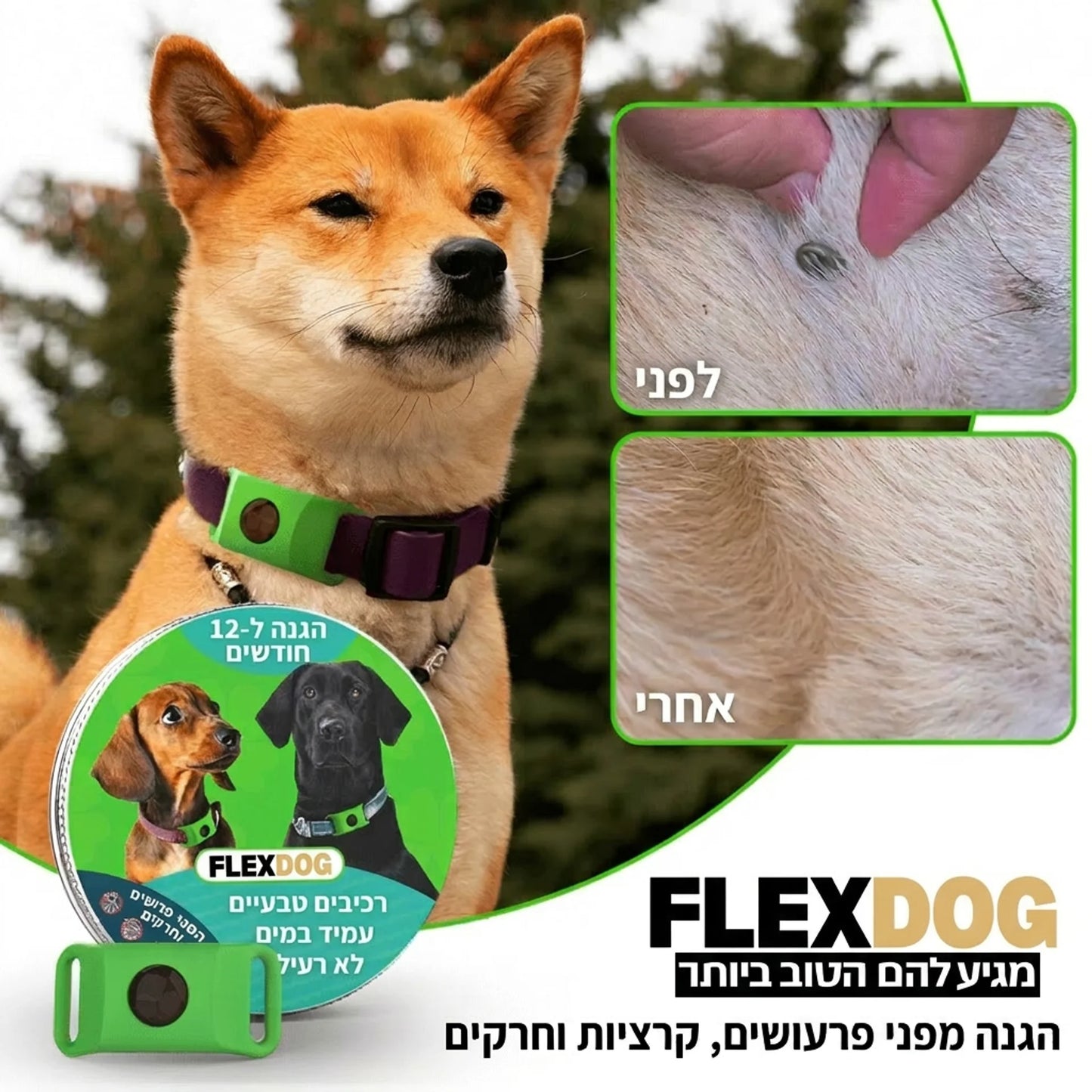 תג חכם נגד פרעושים לכלבים וחתולים