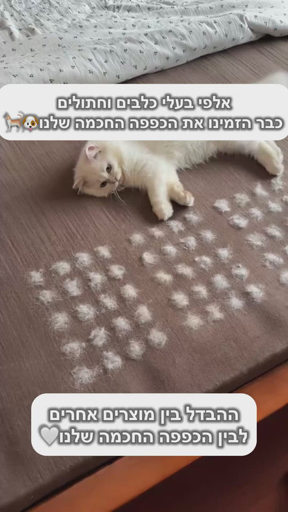 הכפפה החכמה להסרת שיער לכלבים וחתולים